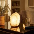 Lighting Business Eamon Salt Lamp with 8 Color Modes LI3640089